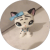unnamed-1.png